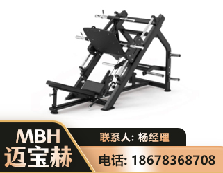 大庆45°倒蹬训练器