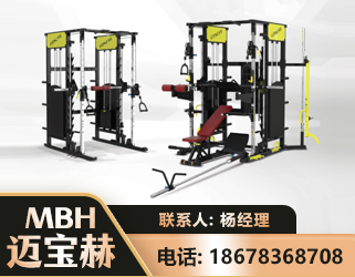 大庆多功能综合训练器