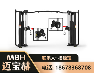 大庆大飞鸟训练器