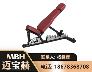 大庆可调哑铃椅